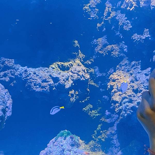 202087_200807_33 202087_200807_33