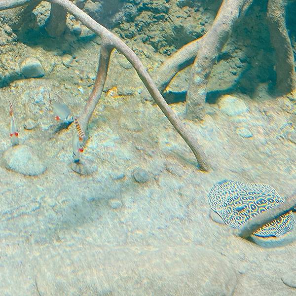 202087_200807_49 202087_200807_49