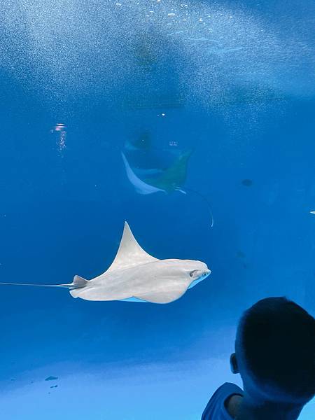 202087_200807_39 202087_200807_39