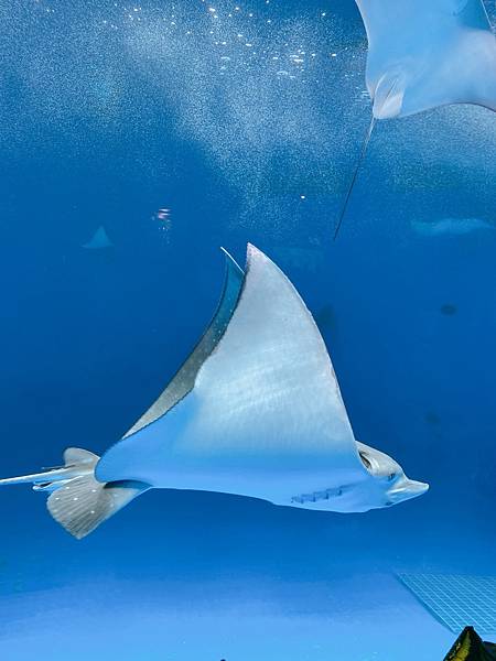 202087_200807_38 202087_200807_38