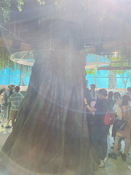 202087_200807_44 202087_200807_44