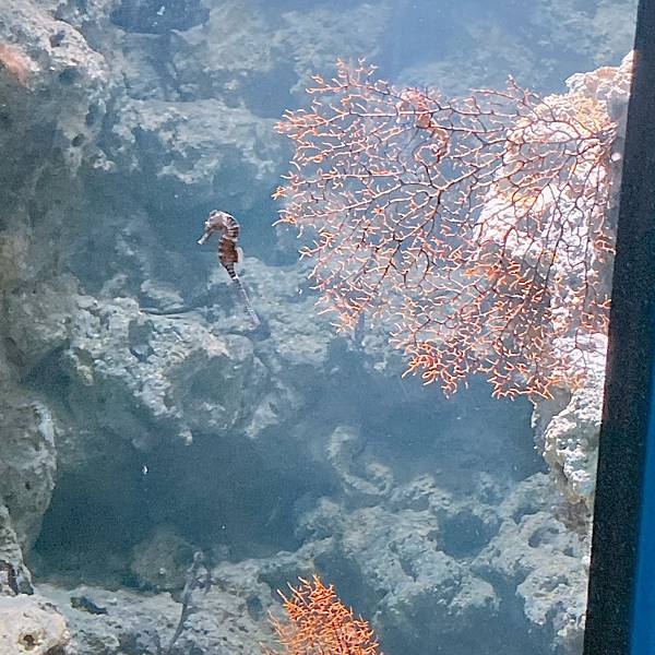 202087_200807_31 202087_200807_31