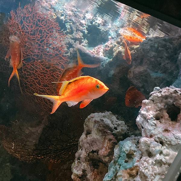 202087_200807_36 202087_200807_36