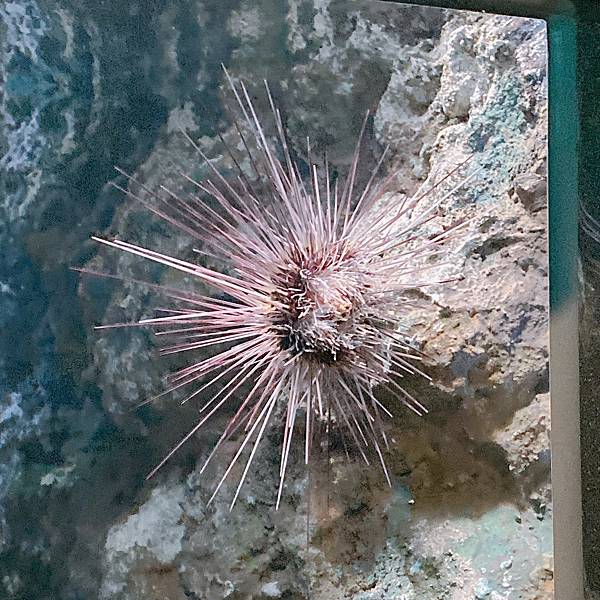 202087_200807_35 202087_200807_35