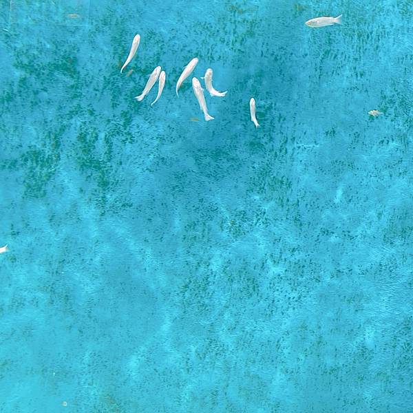 202087_200807_32 202087_200807_32