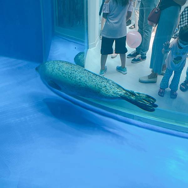 202087_200807_53 202087_200807_53