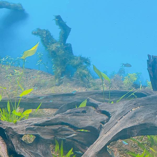 202087_200807_41 202087_200807_41