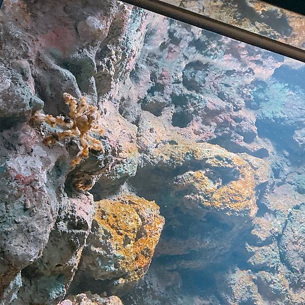 202087_200807_37 202087_200807_37