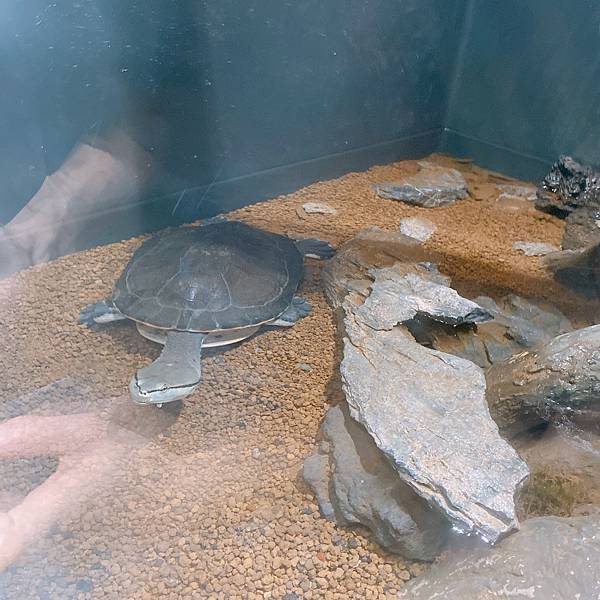 202087_200807_52 202087_200807_52