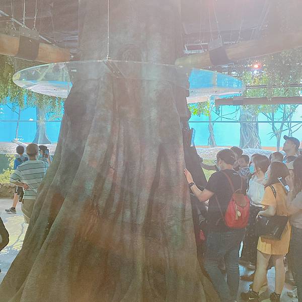 202087_200807_43 202087_200807_43