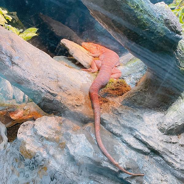 202087_200807_42 202087_200807_42