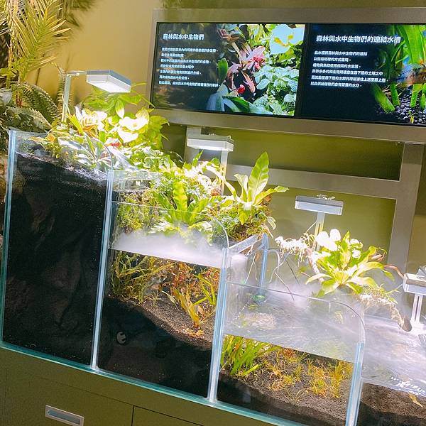 202087_200807_51 202087_200807_51