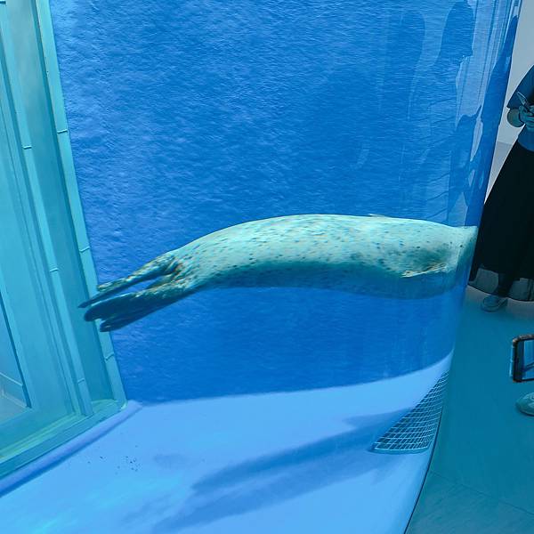 202087_200807_54 202087_200807_54