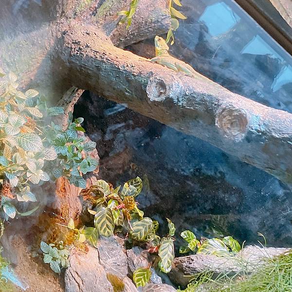 202087_200807_48 202087_200807_48