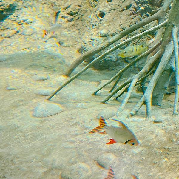 202087_200807_50 202087_200807_50