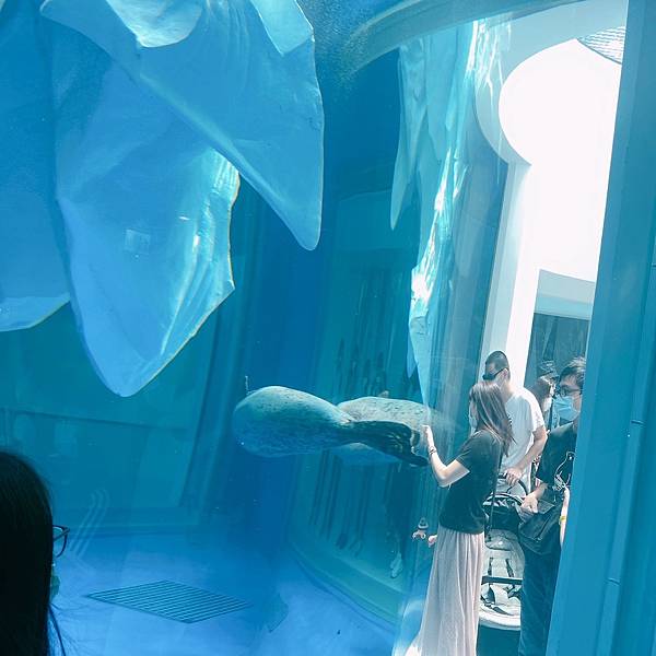 202087_200807_58 202087_200807_58