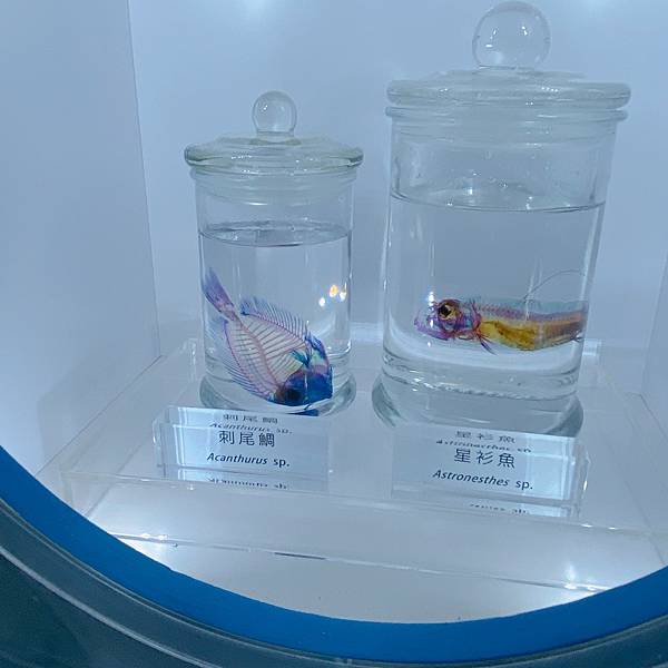 202087_200807_69 202087_200807_69