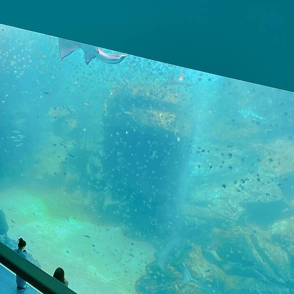 202087_200807_71 202087_200807_71