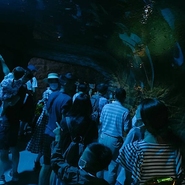 202087_200807_65 202087_200807_65