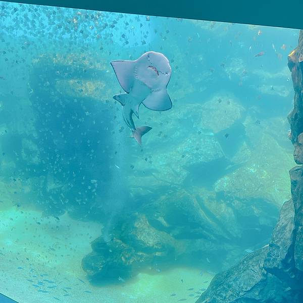 202087_200807_70 202087_200807_70