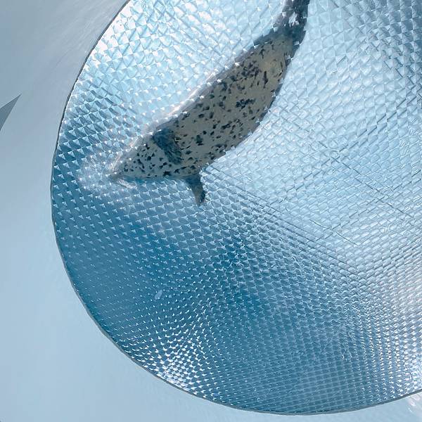 202087_200807_56 202087_200807_56