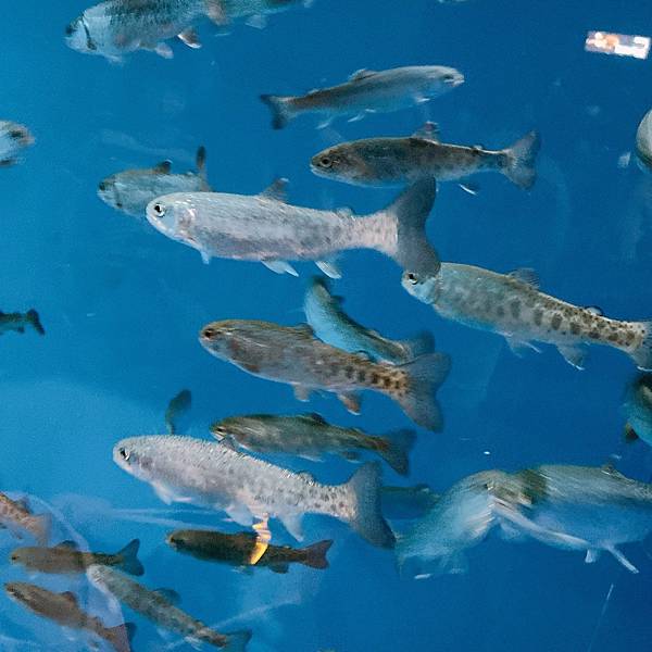 202087_200807_63 202087_200807_63