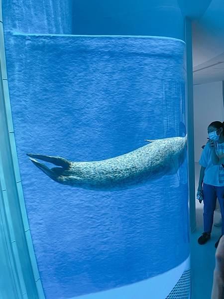 202087_200807_55 202087_200807_55