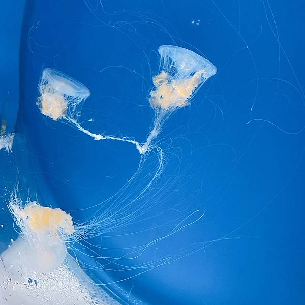 202087_200807_77 202087_200807_77