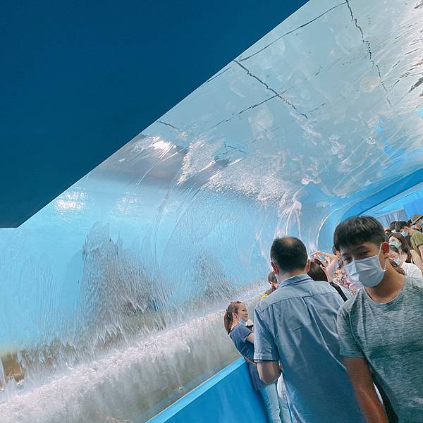 202087_200807_61 202087_200807_61