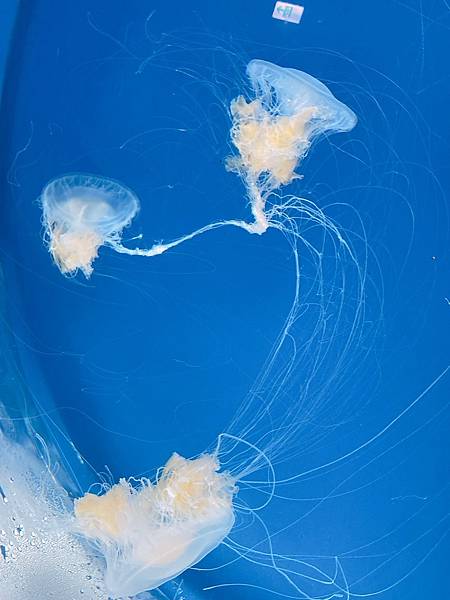 202087_200807_76 202087_200807_76