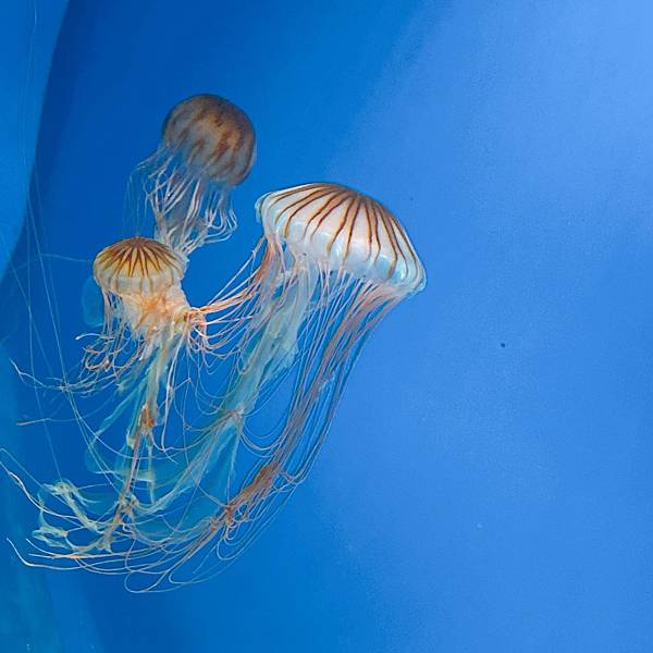 202087_200807_78 202087_200807_78