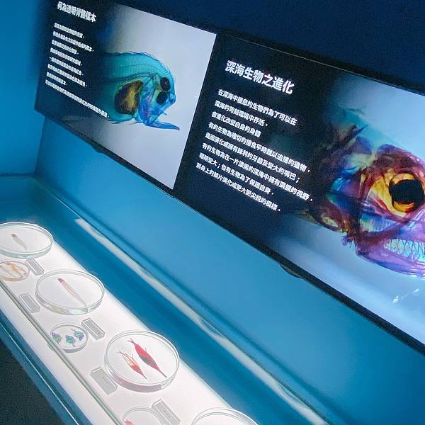 202087_200807_68 202087_200807_68