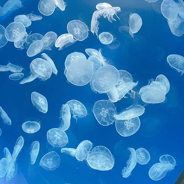 202087_200807_74 202087_200807_74