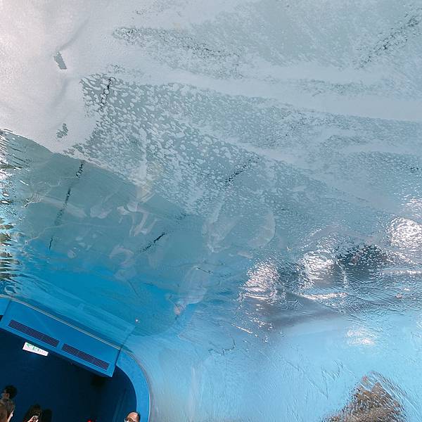 202087_200807_60 202087_200807_60