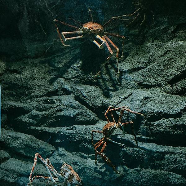 202087_200807_66 202087_200807_66