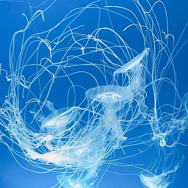 202087_200807_79 202087_200807_79