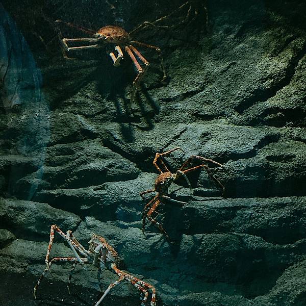 202087_200807_67 202087_200807_67