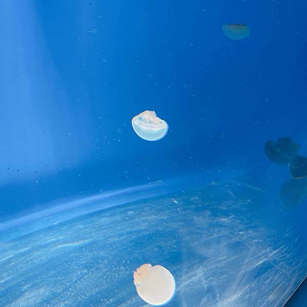 202087_200807_82 202087_200807_82