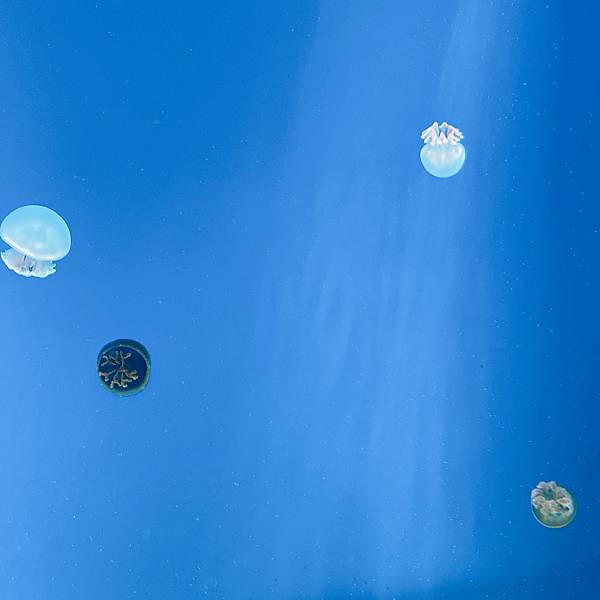 202087_200807_83 202087_200807_83