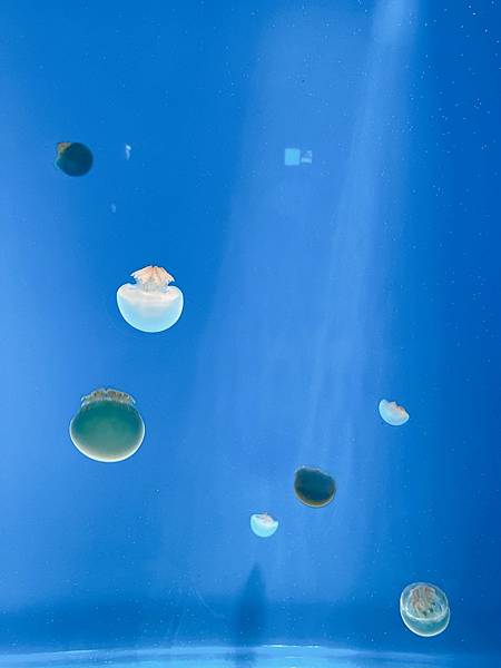 202087_200807_84 202087_200807_84