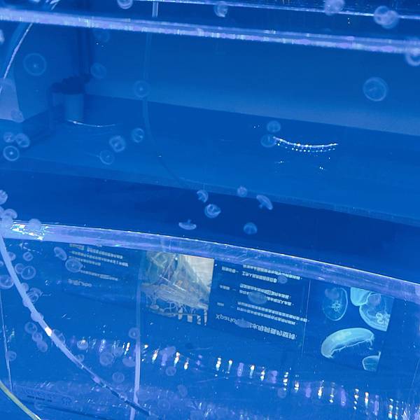 202087_200807_86 202087_200807_86