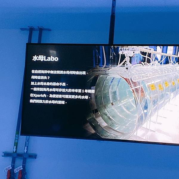 202087_200807_88 202087_200807_88