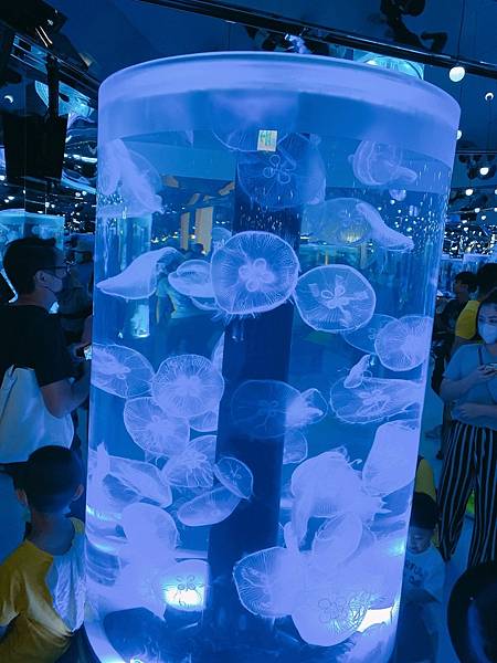 202087_200807_90 202087_200807_90