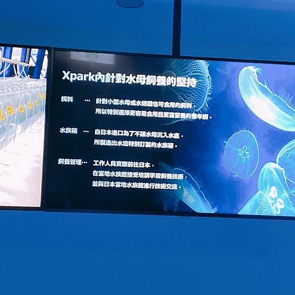 202087_200807_87 202087_200807_87