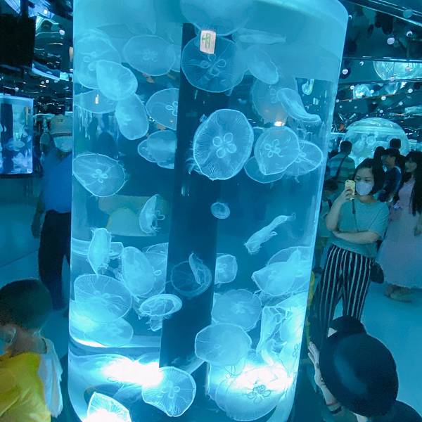 202087_200807_91 202087_200807_91