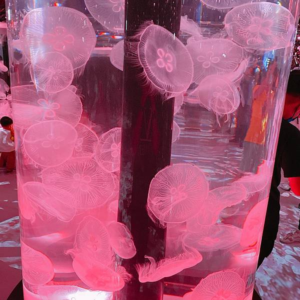 202087_200807_95 202087_200807_95