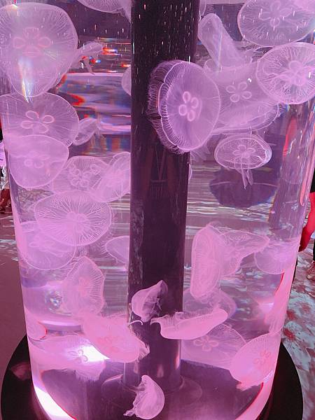 202087_200807_94 202087_200807_94