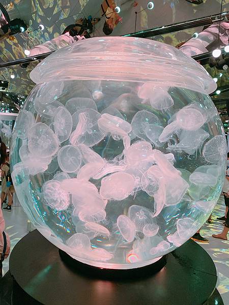 202087_200807_100 202087_200807_100