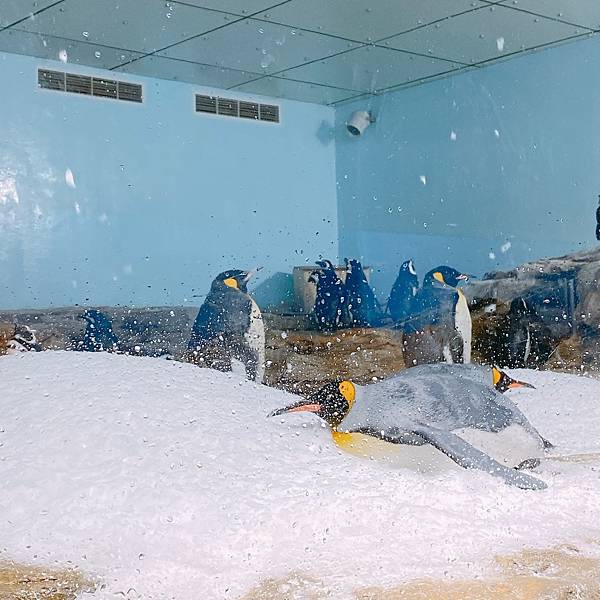 202087_200807_108 202087_200807_108