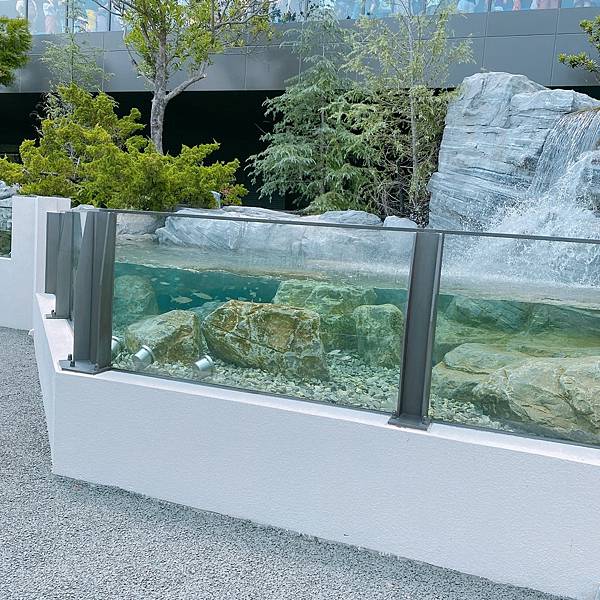 202087_200807_125 202087_200807_125